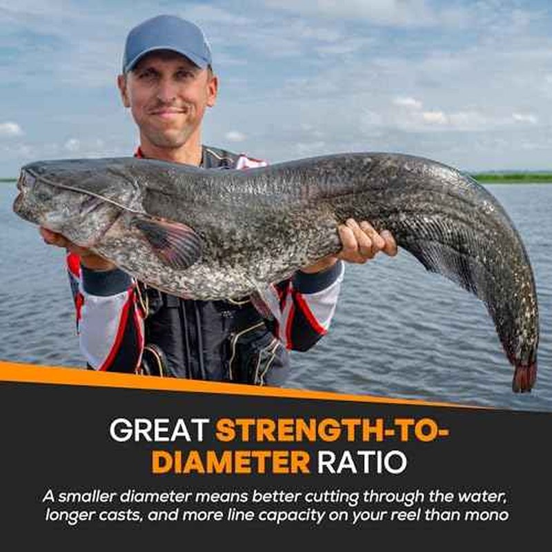 FINS Catfish Braid - Ultra-Strong 8-End HT-PE Fishing Line Smooth Casting Wire, No Stretch, High Durability, Abrasion-Resistant Long Casts No Line Digging - Made in USA