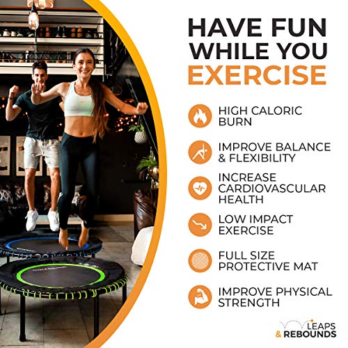 Leaps and ReBounds Mini Trampoline for Adults And Kids - Rebounder with Online Workout Videos - For Outdoor Games, Fitness, and Recreational Activities - Safe, Quiet, Durable Cardio Exercise Equipment