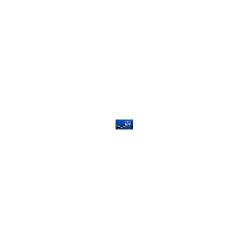 Blue Sea Systems 7184 285-Series Thermal Circuit Breaker, Surface Mount, 48V DC, 60A