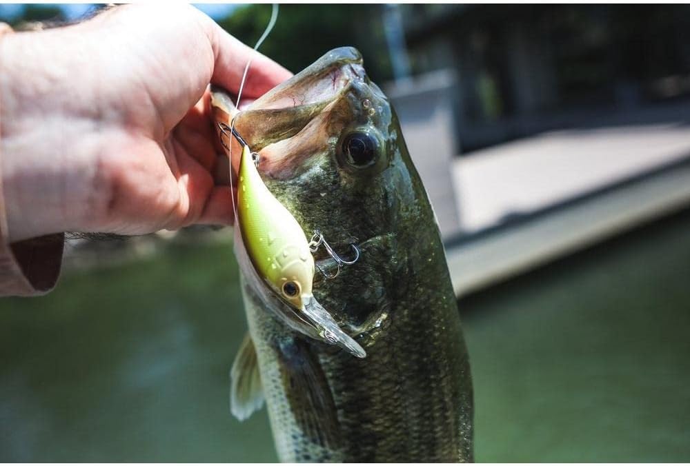 Berkley Money Badger Fishing Hard Bait - Durable Lure for Freshwater Fishing | 3-Inch, Multi-Color Options