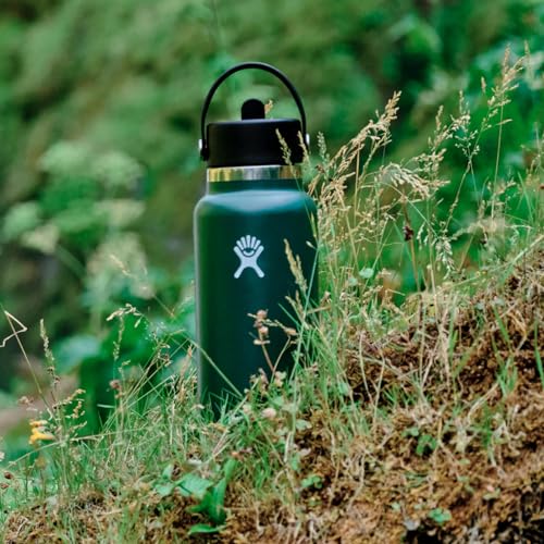 Hydro Flask Wide Flex Straw Cap Cascade 24 Oz