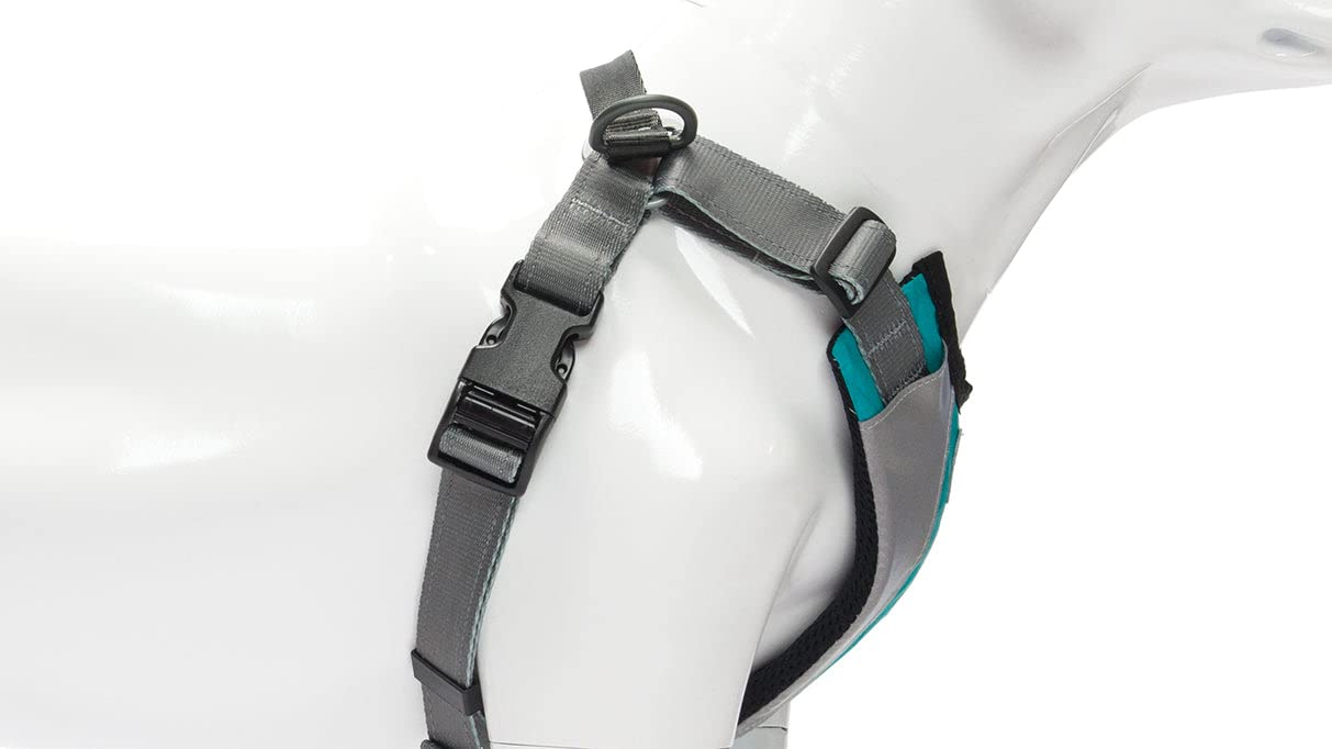 Stunt Puppy Go Dog Glo Harness, Small, Teal