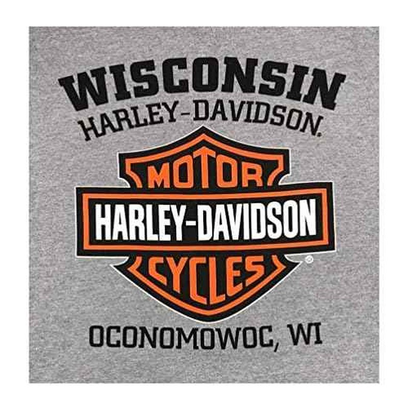 Harley-Davidson Men's Hooded Sweatshirt, Willie G Skull, Gray Hoodie 30296654