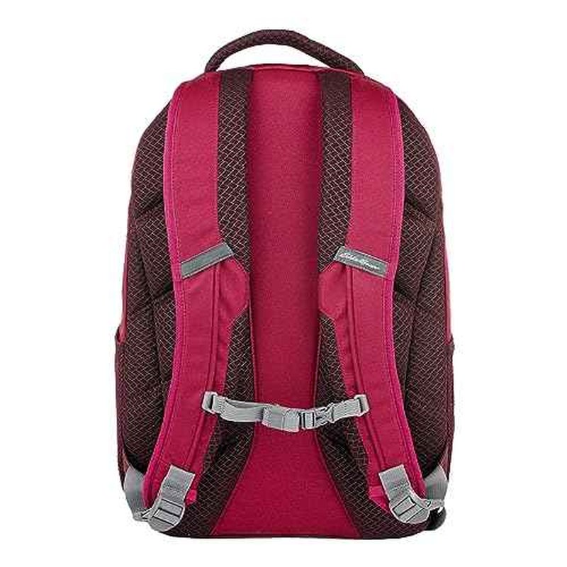 Eddie Bauer Adventurer Backpack with Organization Compartments and Hydration/Laptop Compatible Sleeve, Adventurer - Dark Berry, 25L
