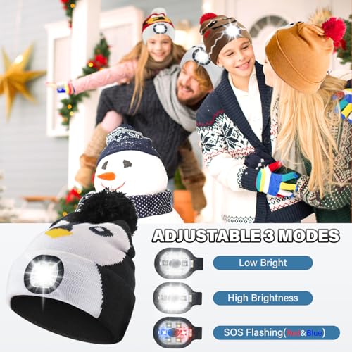 LED Beanie with Light for Adults, USB Rechargeable Headlamp Cap Unisex Winter Warm Knit Night Light Hat for Camping Running