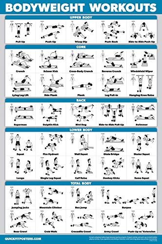 Palace Learning 4 Pack - Dumbbell Workouts + Bodyweight Workouts + Stretching Exercises + Resistance Loops - Set of 4 Workout Charts (18” x 24”, LAMINATED)