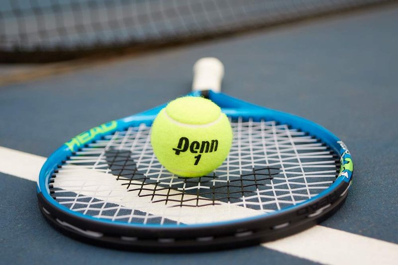 Penn Championship Tennis Balls - Extra Duty Felt Pressurized Tennis Balls - 1 Can, 3 Balls