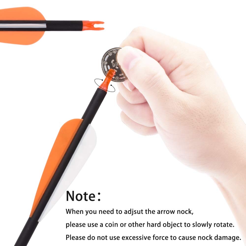 30Inch Carbon Arrow Practice Hunting Arrows Targeting with Removable Tips for Archery Compound & Recurve & Traditional Bow (Pack of 12)