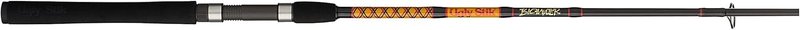 Ugly Stik Bigwater Spinning Fishing Rod - Durable Graphite Design | 7' Medium Heavy