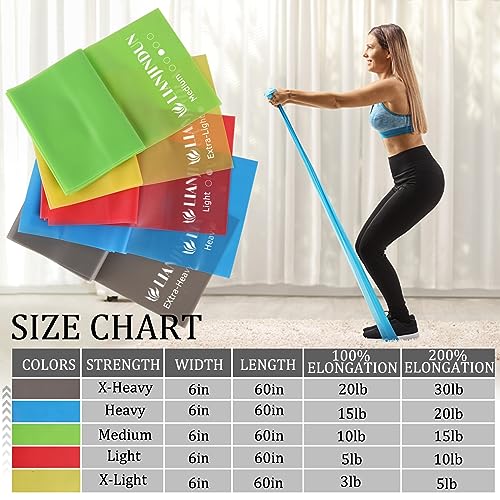 5 Pcs Professional Resistance Bands. Latex-Free, Elastic Band, Work Out Bands, Stretch Bands for Working Out Women or Men, Exercise Bands Set for Physical Therapy, Yoga, Pilates