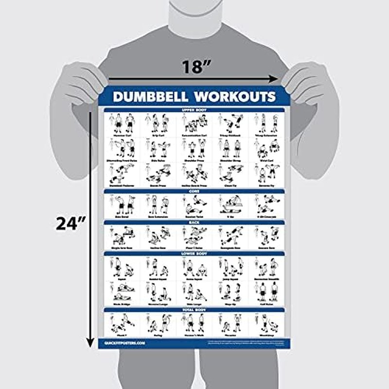 4 Pack Workout Charts - Dumbbell, Bodyweight & Kettlebell Exercises - Sliding Bench | 18'' x 24'' Laminated