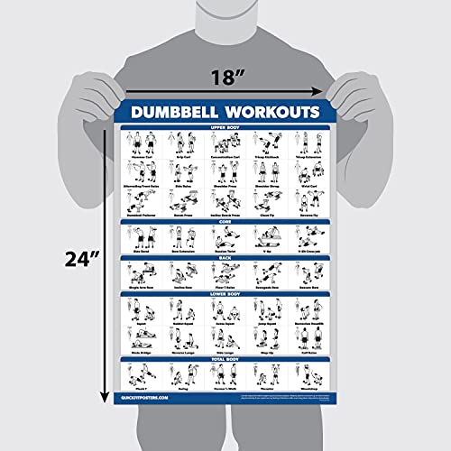 QUICKFIT Dumbbell Workouts and Barbell Exercise Poster Set - Laminated 2 Chart Set - Dumbbell Exercise Routine & Barbell Workouts (18" x 27")