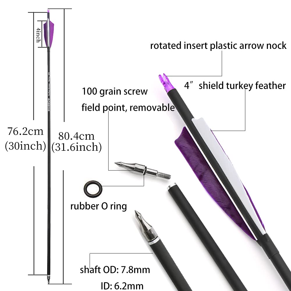 ZSHJGJR 30 Inch Archery Carbon Arrows Hunting Arrows with 4” Turkey Feather Target Practice Arrows Spine 500 for Compound & Recurve &Traditional Bow 6/12pcs (12 x Purple Arrows + Quiver)