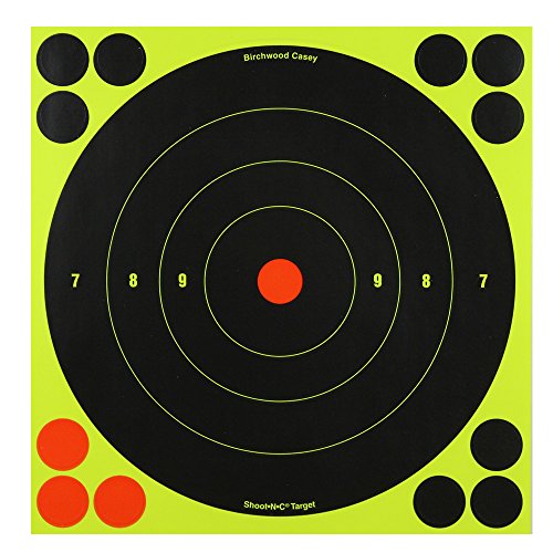 Birchwood Casey Shoot-N-C Bull's Eye Target (8-Inch) Pack of 6 with 72 Pasters