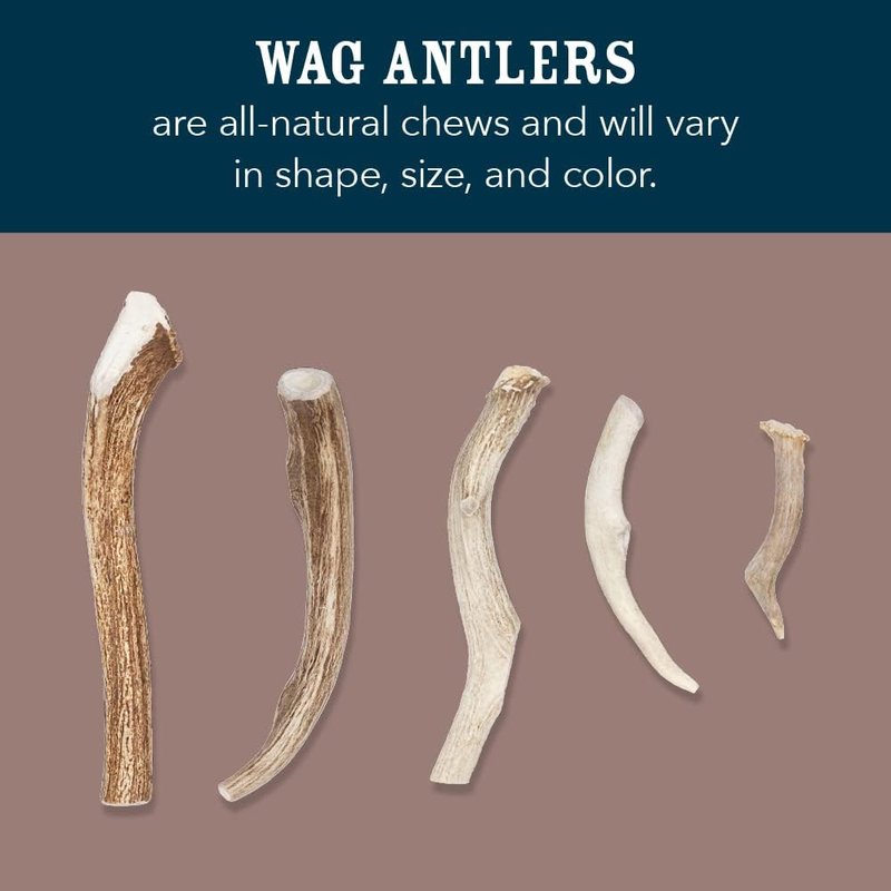 Wag Dog Deer Antler Chew - Naturally Shed, Long-Lasting Treat for Aggressive Chewers | Small Size (4-5.5 inches)