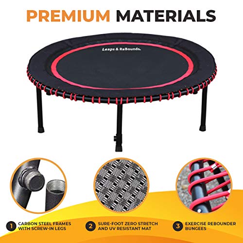 Leaps and ReBounds Mini Trampoline for Adults And Kids - Rebounder with Online Workout Videos - For Outdoor Games, Fitness, and Recreational Activities - Safe, Quiet, Durable Cardio Exercise Equipment