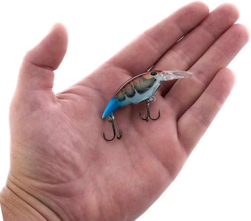Berkley Money Badger Fishing Hard Bait - Durable Lure for Freshwater Fishing | 3-Inch, Multi-Color Options