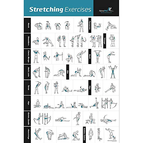 NewMe Fitness Workout Posters for Home Gym, Stretching Exercise Posters for Full Body Workout, Core Abs Legs Glutes & Upper Body Training Program