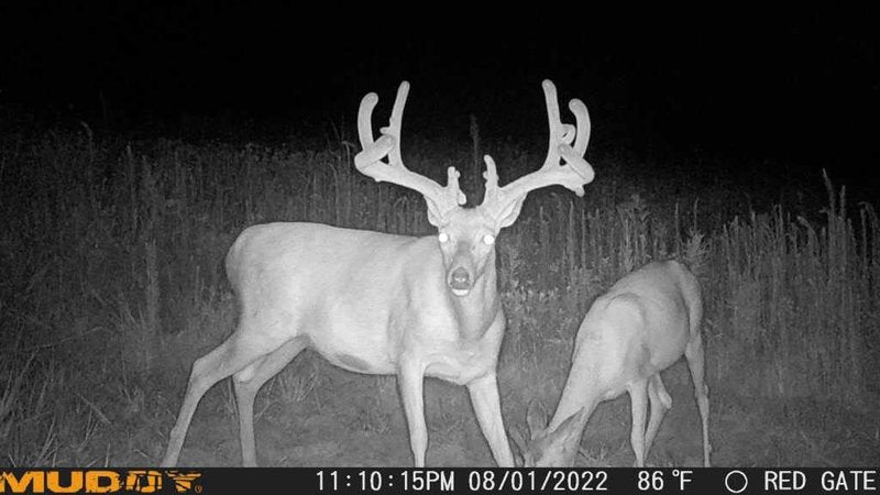 Muddy Matrix 36MP Imaging Cellular Trail Camera with On Demand Photo, Dual Network, and 80-Feet Detection Range (Mud)