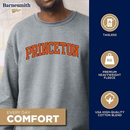 Ivysport Princeton University Crewneck Sweatshirt, Essential, Grey, Medium