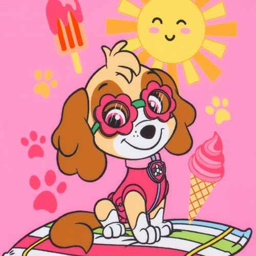 Paw Patrol Swimsuit, Skye Girls Swimsuit, Cute Kids Bathing Suit, Girls Bathing Suit for Summer