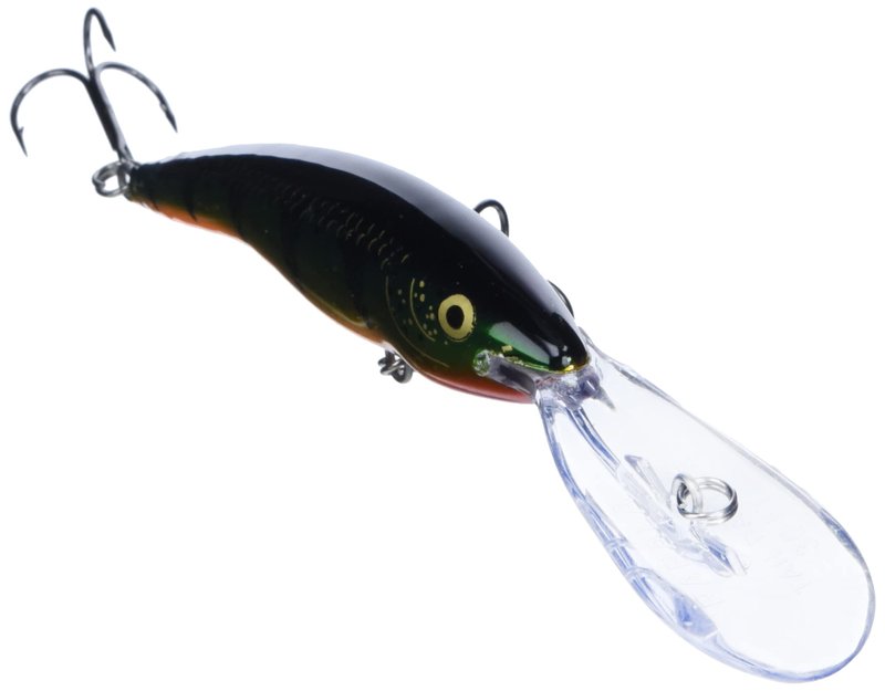 Deep Tail Dancer 11 Flash Perch