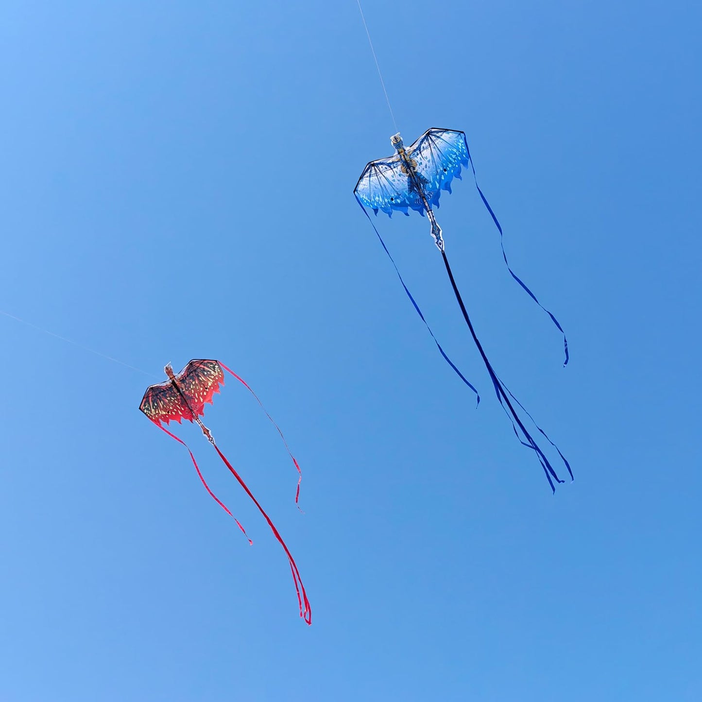 Mint's Colorful Life Dragon Kite for Kids & Adults, Easy to Fly Kites for Beginners, Large Single Line Kite for Beach Trip with 300ft String(Red)