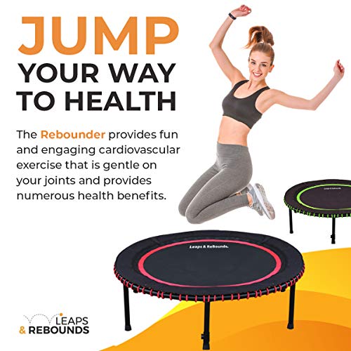 Leaps and ReBounds Mini Trampoline for Adults And Kids - Rebounder with Online Workout Videos - For Outdoor Games, Fitness, and Recreational Activities - Safe, Quiet, Durable Cardio Exercise Equipment