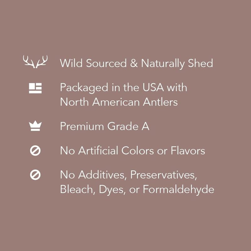 Wag Dog Deer Antler Chew - Naturally Shed, Long-Lasting Treat for Aggressive Chewers | Small Size (4-5.5 inches)