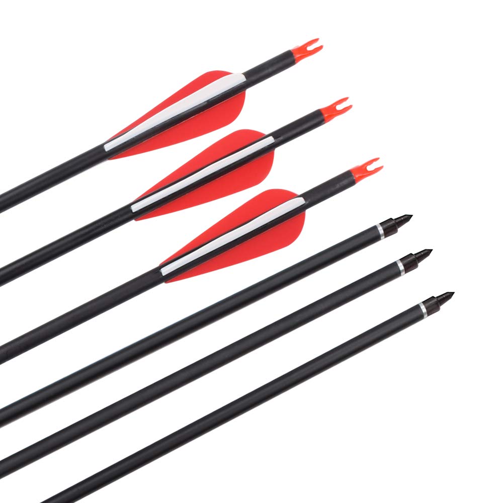 Elong 6PCS 26" Arrows for Compound Bows,Carbon Hunting Arrows for Archery Spine 500 with 100 Grain Screw Tips, for Compound & Recurve & Traditional Bow(with 6 Extra Nocks)