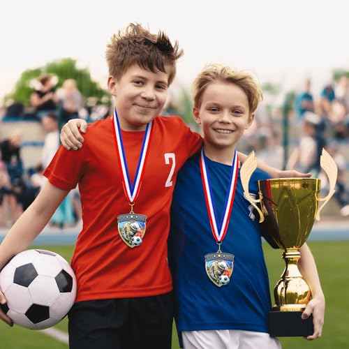 Remuuly Award Medals Bulk Soccer Football Basketball Tennis Cheer Metal Winner Award Medals 3.35'' Shield Shape with Neck Ribbons Sport Team Participation Prize Gift