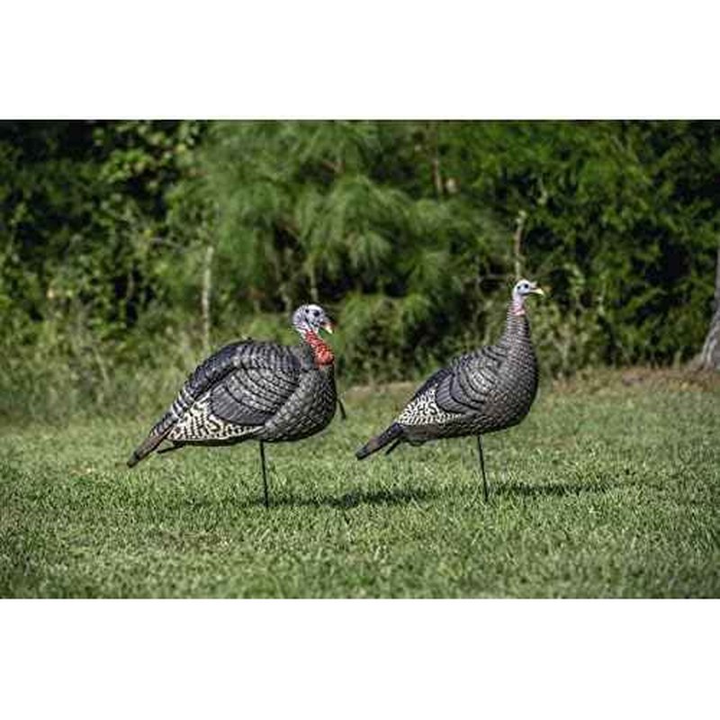 Hunters Specialties HS Strut Lite Jake & Feeding Hen Turkey Foldable Hollow Relaxed Body Realistic 2-Pack Couple Flock Combo Decoys
