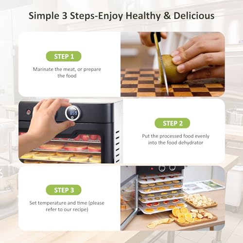 Septree Commercial Large 10 Trays Food Dehydrator, Usable Area up to 17ft², 1000W Detachable Full Stainless Steel Dryer Machine, up to 190℉ Temperature, for Meat, Fruit, Beef, Herbs, and Pet Food