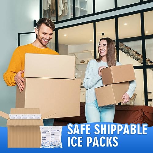 36pc Dry Ice Packs Shipping Cold Packs for Frozen Food, 7.3in×4.33in Bulk Dry Ice Sheets for Coolers Reusable, Cold Shipping Packaging Keep Foods Drinks Cold