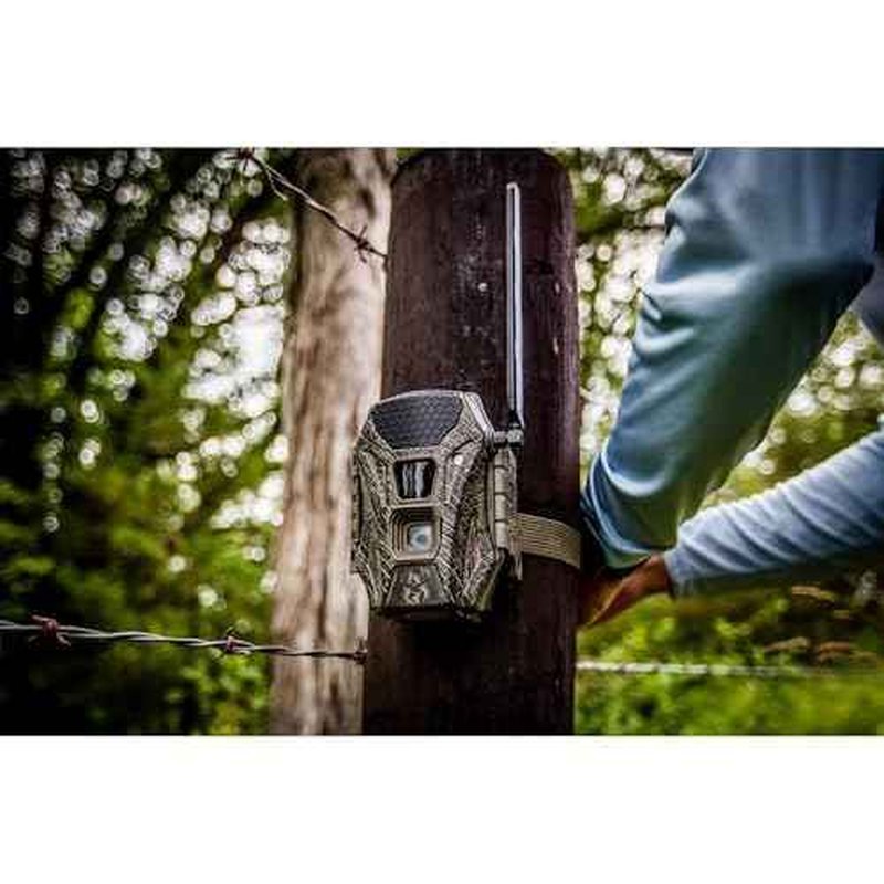 Wildgame Innovations WGI-TERACC: Terra Xt Cellular Camera / 24Mp