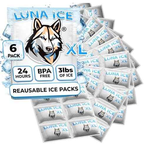 LUNA ICE Dry Ice Packs for Shipping XL - Long lasting ice packs - 24+ Hour Freeze Power - BPA Free - 6 Pack Bulk 3 lb ? Hielo Seco - Reusable Gel Bricks for Food