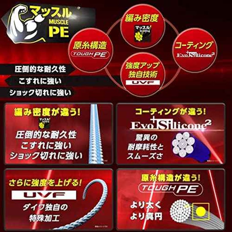 DAIWA PE Line UVF Soltiga Dura Sensor X8+Si2 No. 5 400 m, Multicolor