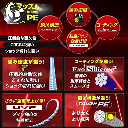 DAIWA PE Line UVF Soltiga Dura Sensor X8+Si2 No. 4 No. 300 m, Multicolor