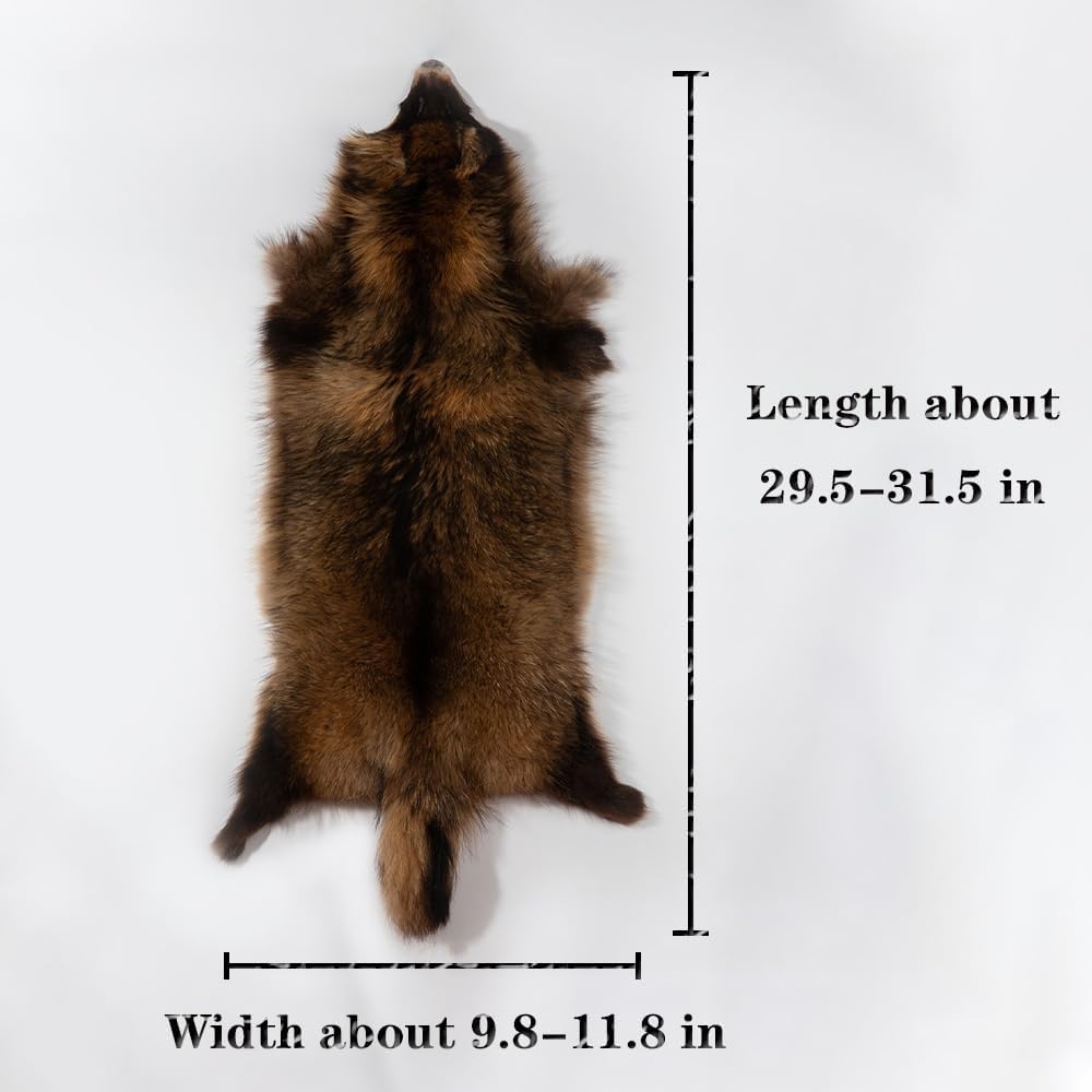 Natural Tanned Raccoon Fur Pelts - Premium Quality Real Skin for Fly Tying & Crafts | 29.5-31.5" Length, 9.8-11.8" Width, Brown