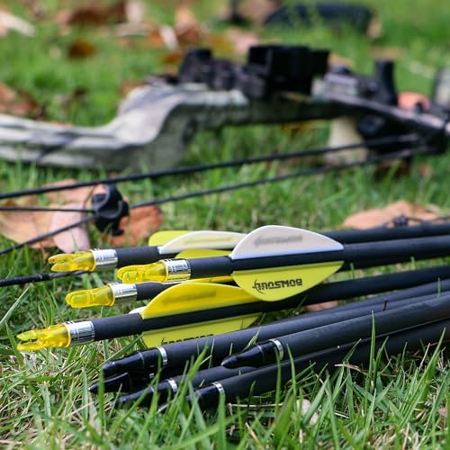 BOWSOUL Carbon Arrows 12pk 100% Pure Carbon Hunting Arrows Target Practice Arrows with Removable Tips for Compound Bow & Recurve Bow (SP300, 30inch)