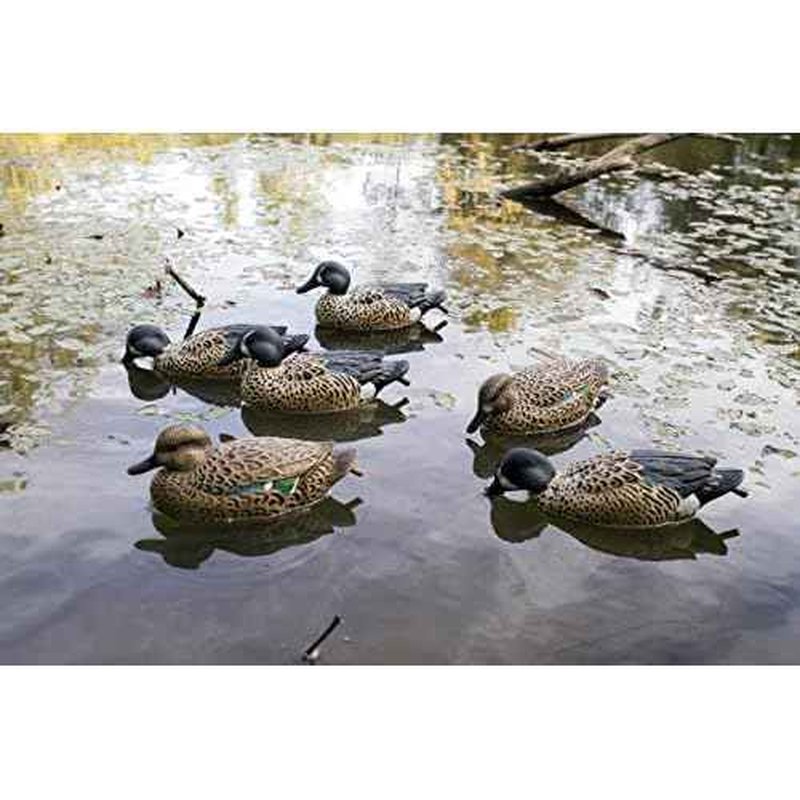 Flambeau Outdoors 8016SUV Storm Front 2 Blue-Winged Teal Decoys, Classic Floaters- 6-Pack
