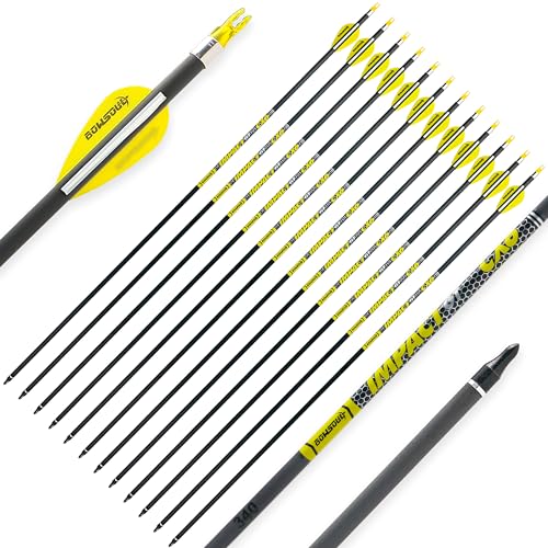 BOWSOUL Carbon Arrows 12pk 100% Pure Carbon Hunting Arrows Target Practice Arrows with Removable Tips for Compound Bow & Recurve Bow (SP300, 30inch)