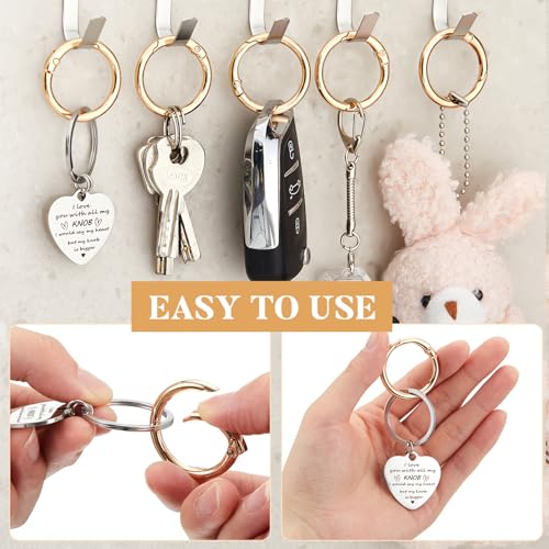 Zonon 20 Pcs 1 Inch Gold Spring O Rings, Key Ring Clip, Round O Clip for Keys, Buckle, Bags, Purses Replacement Purse Ring Hardware, Keychain Lanyard, Home Car Keyrings Attachment DIY Crafts