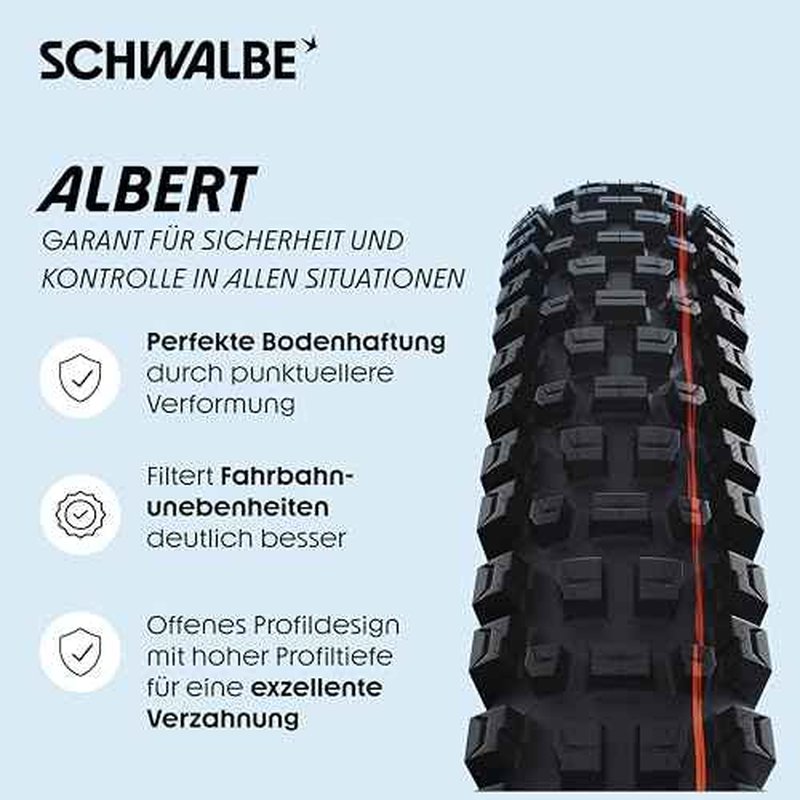 Schwalbe Albert Radial TLR Folding Tyre