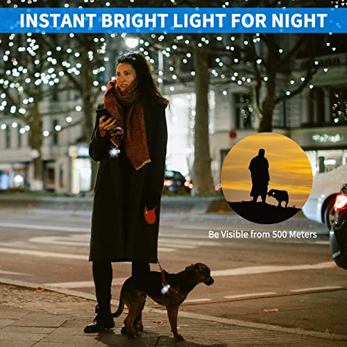 Rechargeable Nursing Night Light Nurse Nightshift Hands Free Emergency LED Flashlight Clip on Running Lights for Walking Running Pets Outdoor Emergency(Blue)