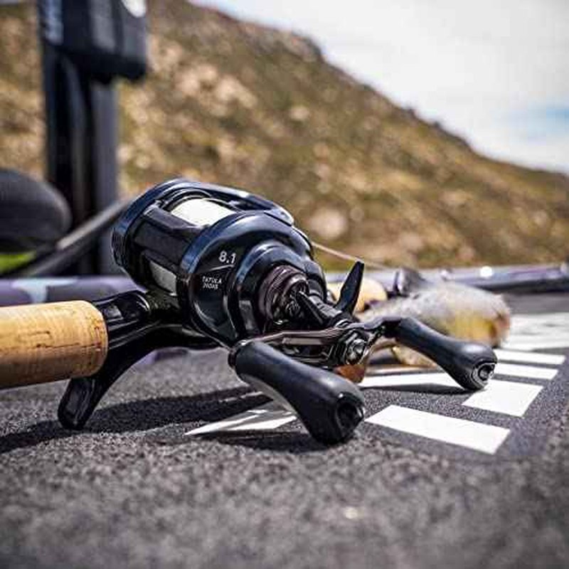 Daiwa Laguna LT Spinning 5000, 3 + 1, 5.2 : 1