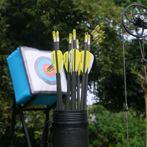 BOWSOUL Carbon Arrows 12pk 100% Pure Carbon Hunting Arrows Target Practice Arrows with Removable Tips for Compound Bow & Recurve Bow (SP300, 30inch)