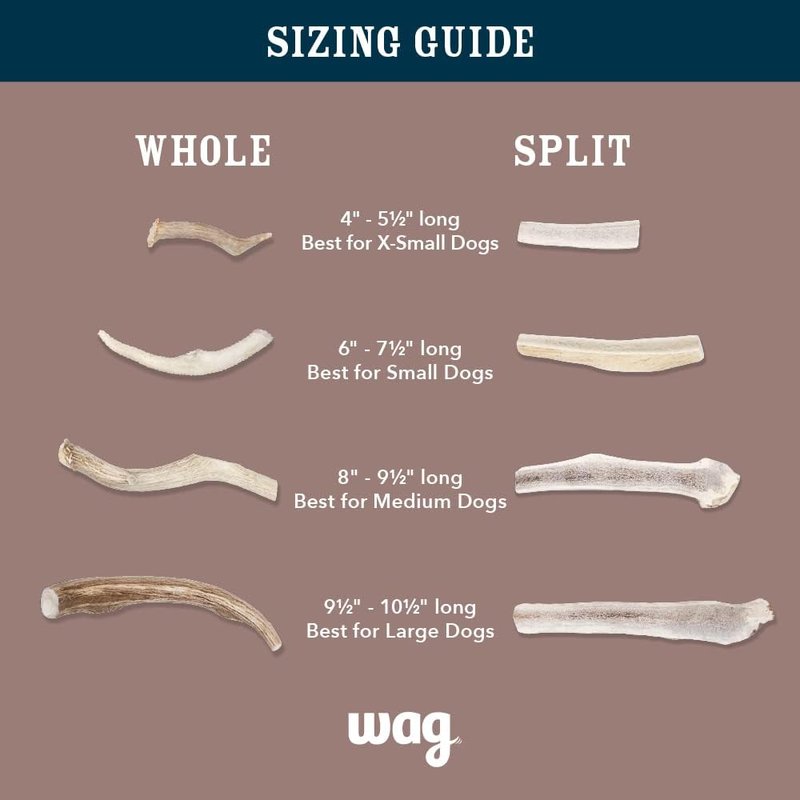 Wag Dog Deer Antler Chew - Naturally Shed, Long-Lasting Treat for Aggressive Chewers | Small Size (4-5.5 inches)