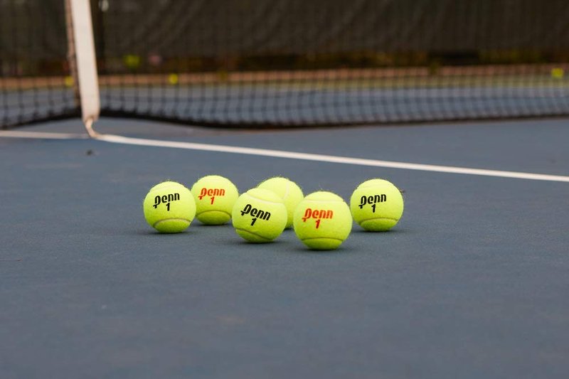 Penn Championship Tennis Balls - Extra Duty Felt Pressurized Tennis Balls - 1 Can, 3 Balls