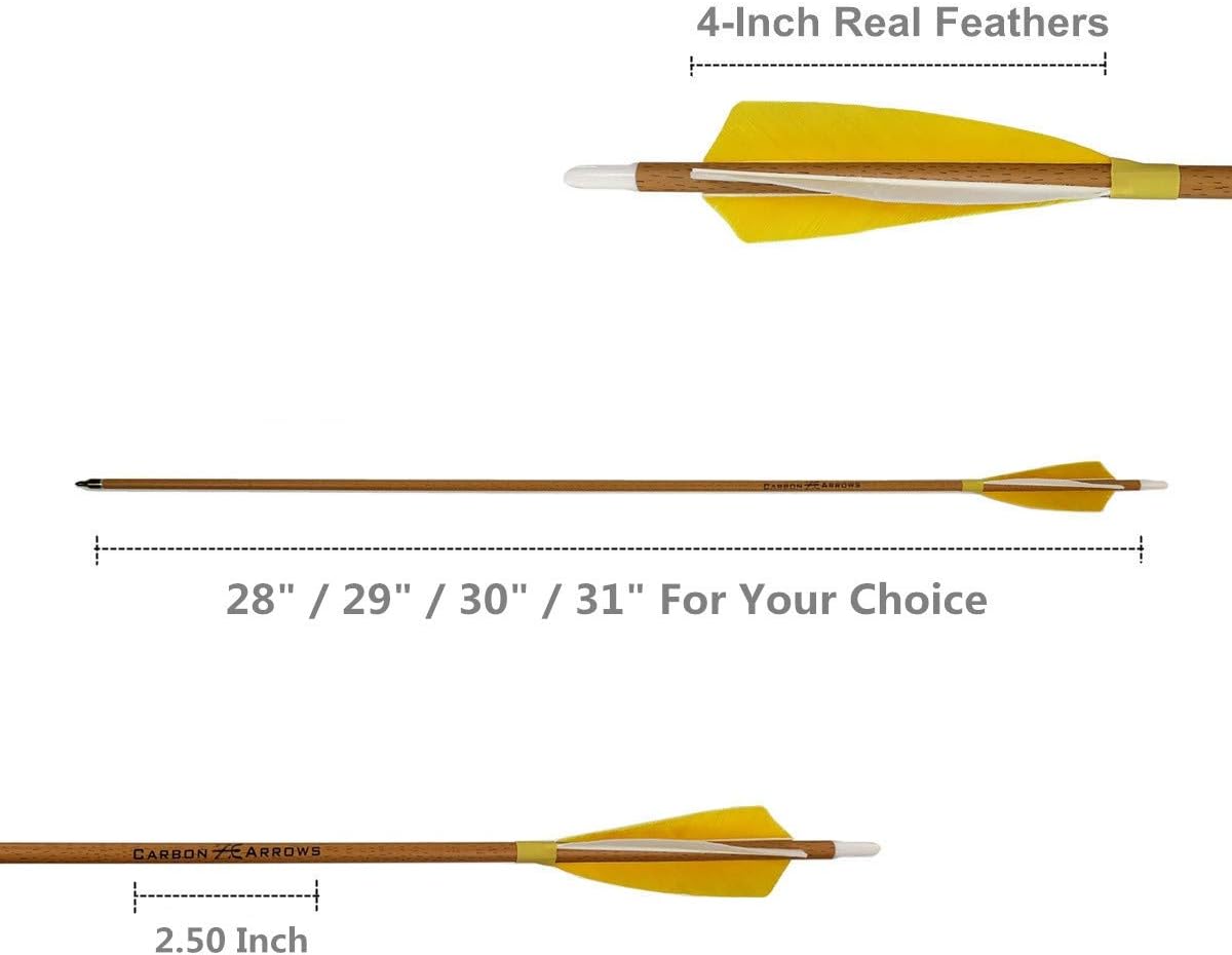 Archery Carbon Arrows - 500 Spine with Helical Real Feathers & Removable Tips | 6 Pack for Compound & Recurve Bows